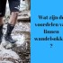 Ontdek de voordelen van linnen wandelsokken.